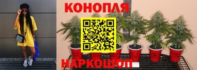 гашиш Обнинск