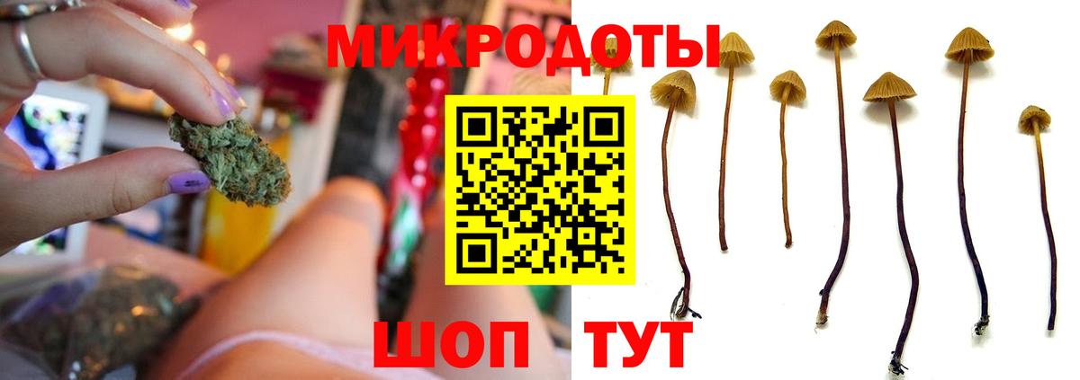 Тимашёвск  Галлюциногенные грибы прущие грибы  Галлюциногенные грибы мухоморы  Вход с VPN 