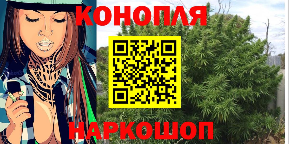 Бошки марихуана семена  Вход с VPN  Тимашёвск  Бошки марихуана тримм 